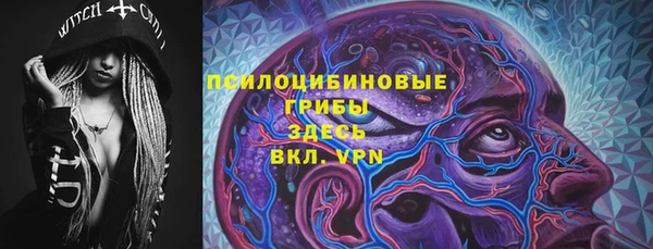 ПСИЛОЦИБИНОВЫЕ ГРИБЫ Армянск