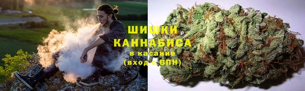 каннабис Арсеньев
