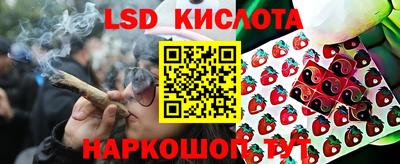 мдпв Кимры